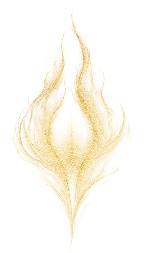 Cocina flame icon