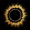 Black Moon Amber logo