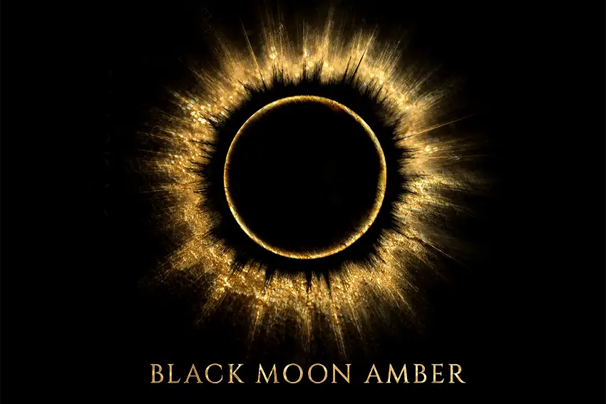 Black Moon Amber: The Dark Accord Beneath Every Scent